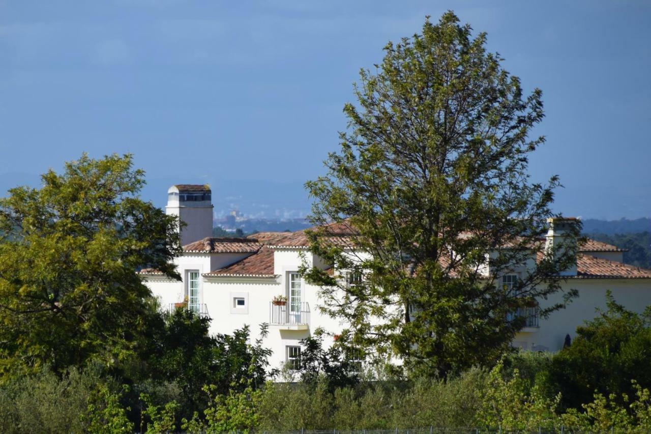 Hotel Quinta De Catralvos Azeitão Exterior foto